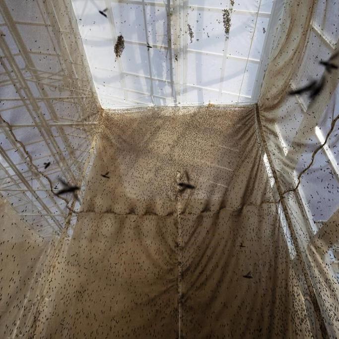 Demand for seafood is soaring, but oceans are giving up all they can. Can we farm fish in new ways?